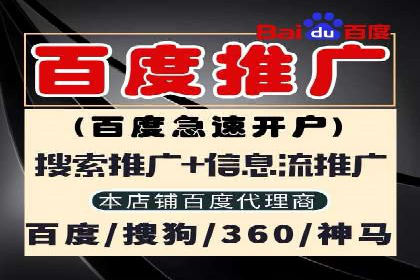 案例剖析：SEM服务助力企业转型